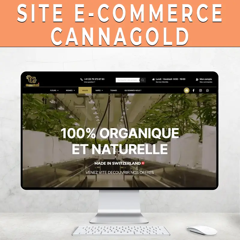 exemple de la création du site e-commerce cannagold réalisé par fred de maxigiga à la réunion